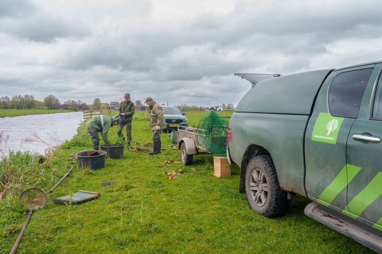 Boswachters en vrijwilligers werken samen aan vlotjes voor zwarte sterns