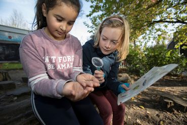 Op het groene schoolplein