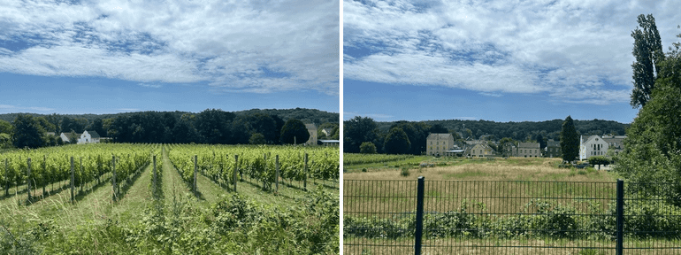 Het Limburgse heuvellandschap vanuit trein