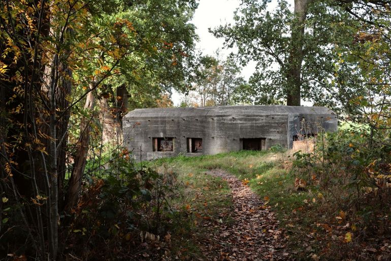 De Grebbelinie in de provincie Utrecht is onderdeel van het NNN. Deze historische verdedigingslinie vormt een belangrijke ecologische verbinding