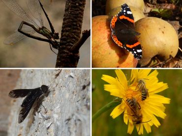 Foto's met wat extra's hebben de meeste kans in de prijzen te vallen