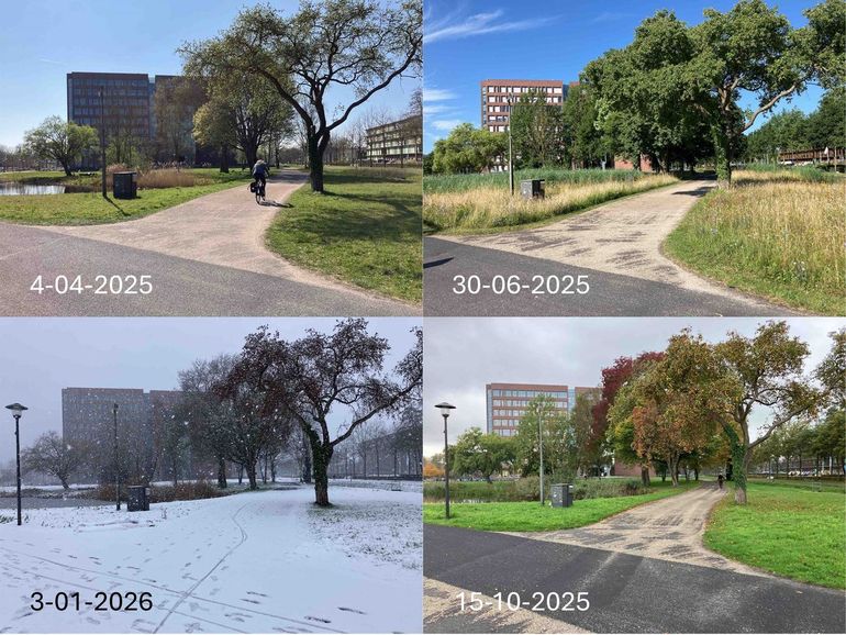 De tuin en vijver aan de oostzijde van het Forumgebouw