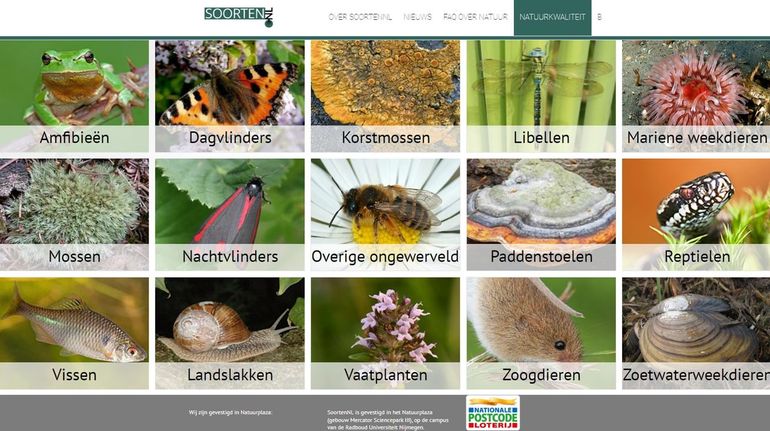 Van veel soortgroepen zijn de gegevens opgenomen op de nieuwe website Natuurkwaliteit