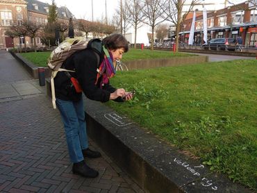 Op zoek naar bloeiende planten