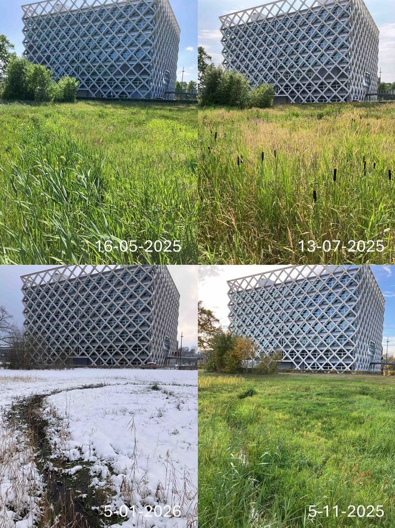 Oostzijde van het Atlasgebouw met meanderende beek