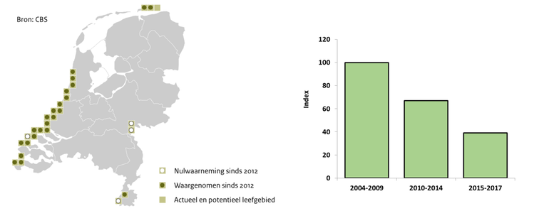 Links: verspreiding van de Nauwe korfslak. Lichtgroen vierkant: leefgebied waar de soort vóór 2012 nog voorkwam. Wit bolletje: vanaf 2012 niet meer aanwezig. Donkergroen bolletje: aanwezig in de periode 2012-2017. Rechts: trend van de landelijke populatie. Indexcijfers op basis van aantallen levende dieren in standaard monsters verzameld op monitoringlocaties