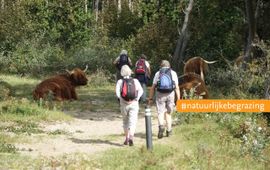 Wandelaars en Schotse hooglanders EENMALIG GEBRUIK