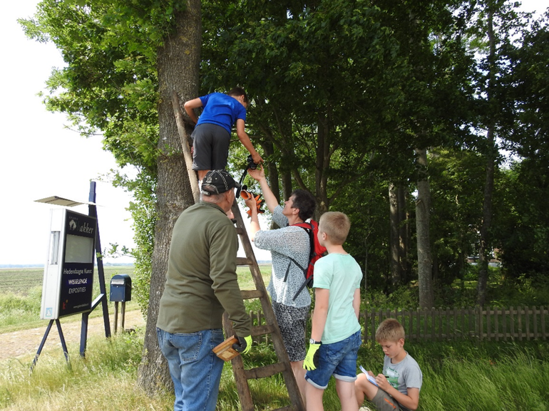 Inventarisatie inhoud nestkasten door schoolkinderen, samen met Vogelwacht Uffelte