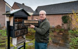Marc Bolsius Pieter van Breugel, Groene Held