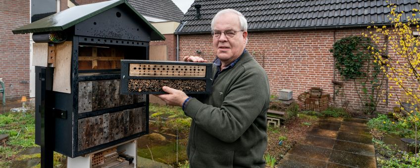 Pieter van Breugel, Groene Held