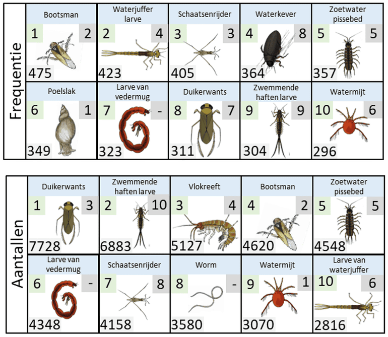 Het bovenste overzicht geeft de top tien van soortgroepen weer die op de meeste plekken zijn aangetroffen. Linksboven staat steeds het rangnummer in 2025, rechtsboven dat van 2024 en linksonder het aantal locaties waar de soortgroep is waargenomen. Het onderste deel geeft de top tien van soortgroepen met de meeste individuen aan &ndash; met linksboven het rangnummer in 2025, rechtsboven dat van 2024 en linksonder het totaal aantal gevonden individuen. Watervlo-achtigen zijn hier buiten beschouwing gelaten
