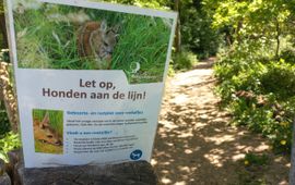 hond aan de lijn