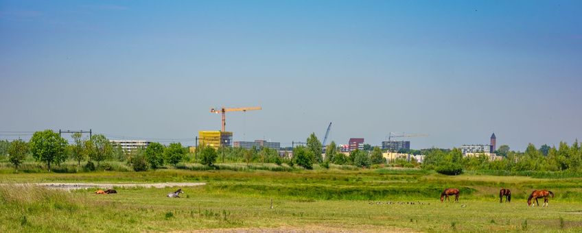 Bron: Provincie Noord-Brabant