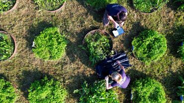 Dronefoto van bodemonderzoek