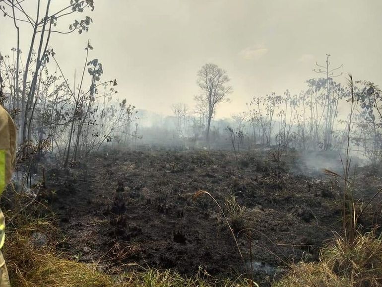 Bosbrand in de Amazone