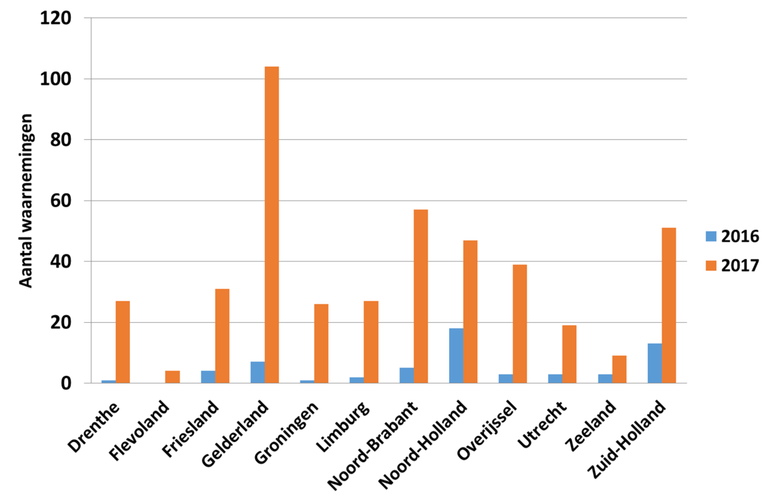 Aantal meldingen van Duitse wesp en gewone wesp op Waarneming.nl in 2016 en 2017 in alle provincies in de periode 1 januari tot en met 16 mei 2017