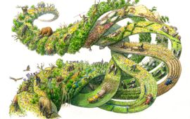 Jeroen Helmer, ARK Natuurontwikkeling Past, present and future of European nature EENMALIG GEBRUIK