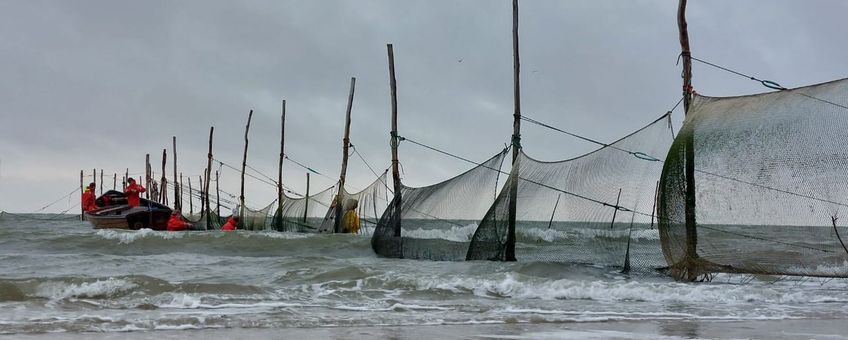 NIOZ-fuik Marsdiep Texel sinds 1960