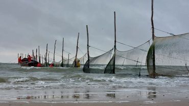 De NIOZ-fuik ligt sinds 1960 in het Marsdiep tussen Den Helder en Texel