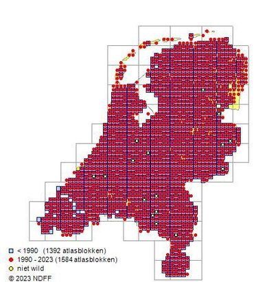 Verspreidingskaartje gewone dwergvleermuis