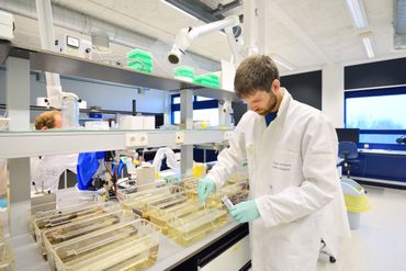 Onderzoeker Kees van Bochove neemt een watermonster voor de detectie van eDNA