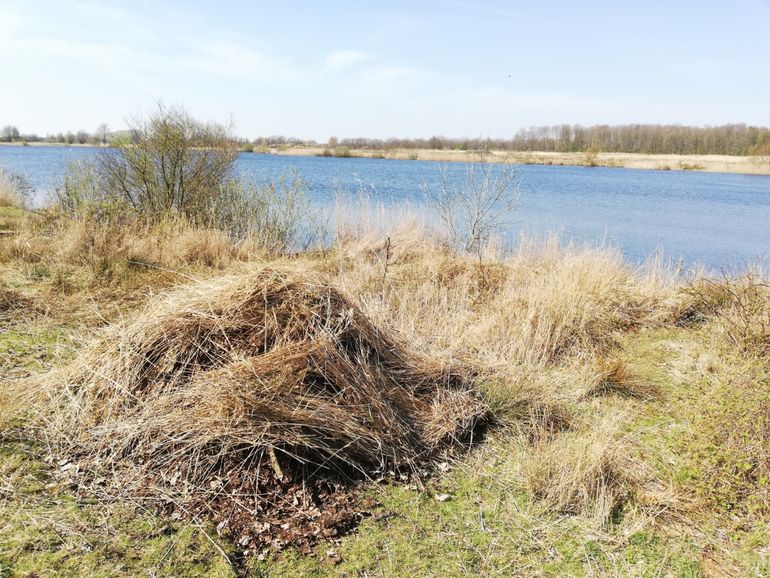 Nieuw aangelegde broeihoop