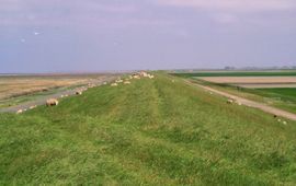 Noordkust Groningen (EENMALIG GEBRUIK)