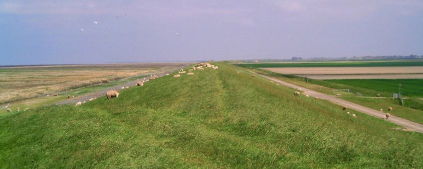 Noordkust Groningen (EENMALIG GEBRUIK)