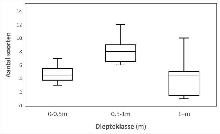 Het aantal aangetroffen soorten waterdiertjes in tuinvijvers is het hoogst bij de middelste diepteklasse. De horizontale lijn in de box geeft de waarde van de middelste waarneming, de onderkant van de box die van een kwart van de waarnemingen en de bovenkant die van driekwart van de waarnemingen. De lijntjes buiten de box geven een indruk van de variatie