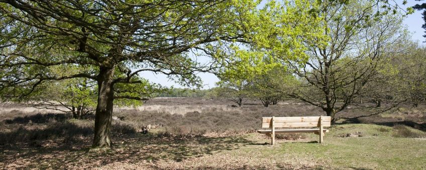 Natuurgebied de Gasterse Duinen