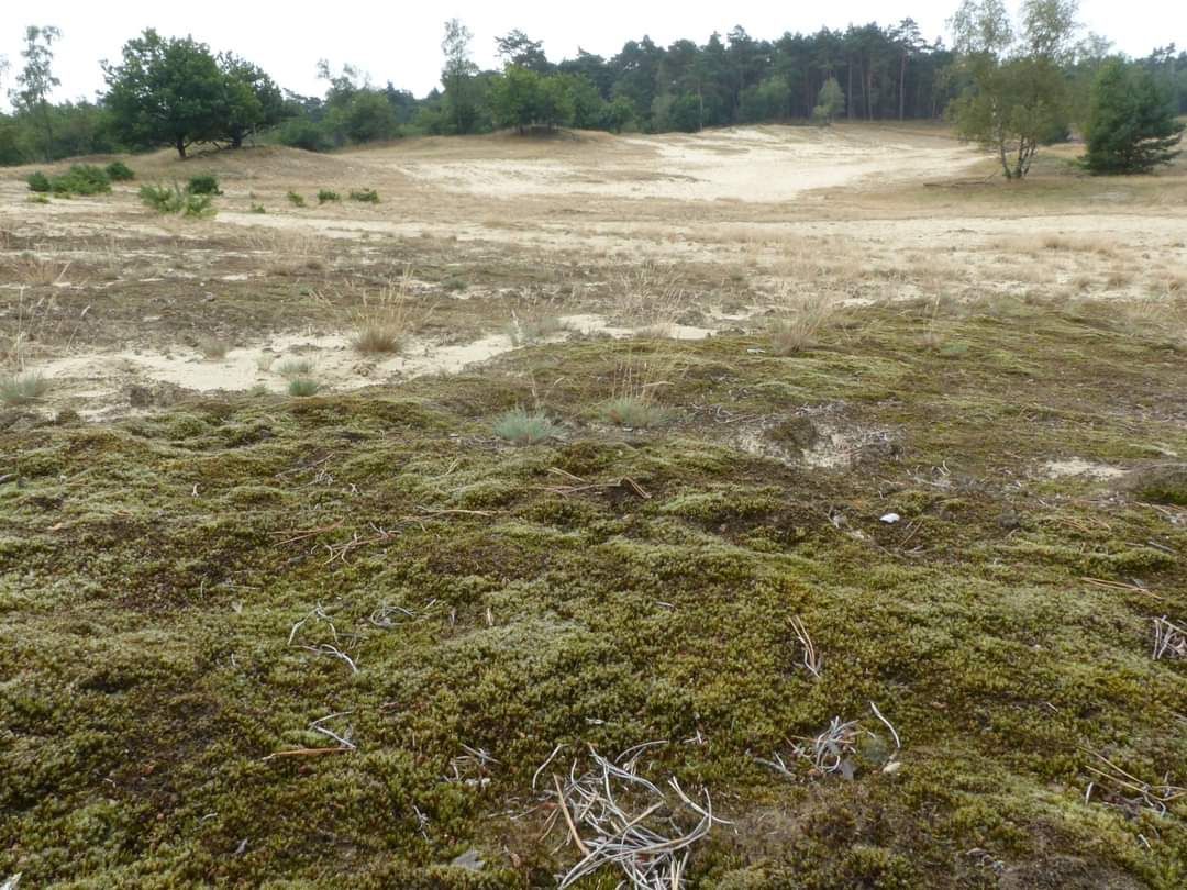 Nature Today | Het shifting beleidsbaseline-syndroom