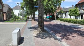 Straatbomen, opgesloten in de verharding