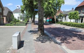 Straatbomen, opgesloten in de verharding