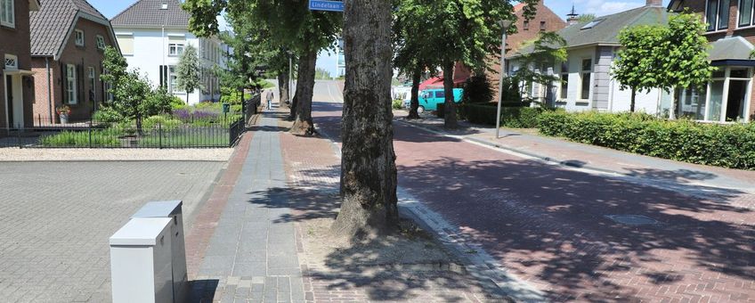 Straatbomen, opgesloten in de verharding
