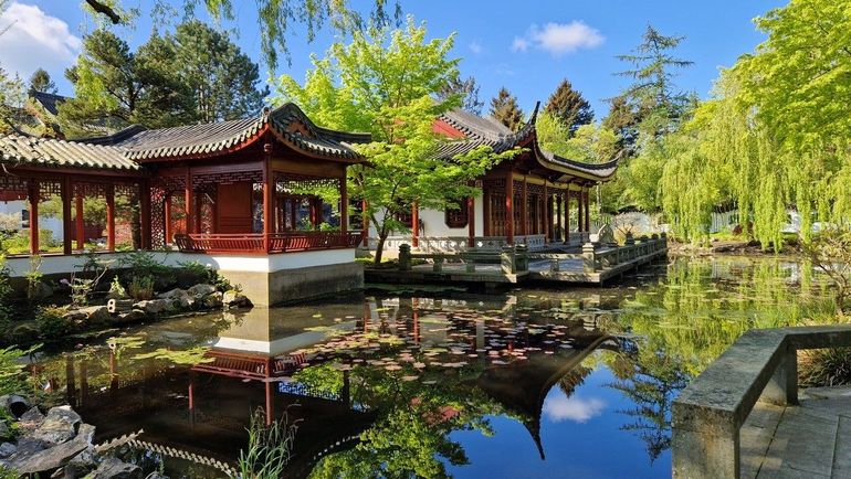 Chinese tuin in de Hortus botanicus Haren met treurwilg