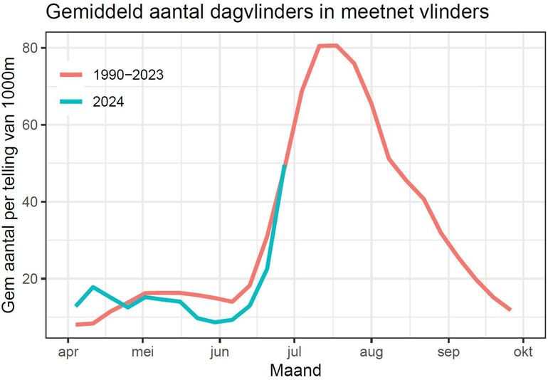 De aantallen vlinders die gemiddeld per monitoringroute worden geteld. Rood is de periode 1990 tot 2023; blauw is de lijn van dit jaar, 2024. Dit zijn voorlopige gegevens, nog niet gewogen en gevalideerd