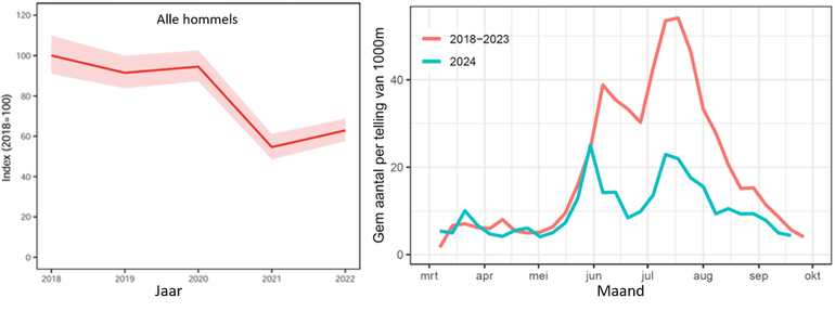 De trend berekend door het CBS van het totaal aantal hommels van 2018 tot en met 2022 en de aantallen hommels geteld op de telroutes omgerekend naar aantallen per duizend meter telroute door het seizoen heen. In rood het langjarig gemiddelde en in blauw de aantallen van afgelopen seizoen. De lage aantallen van dit jaar werden met name veroorzaakt door de lage aantallen steenhommels