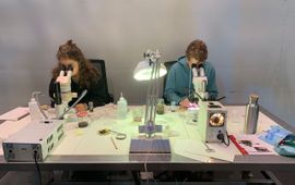 Menno Schilthuizen Isabel Kersten en Teun van der Sterren aan het werk in de LiveScience-zaal van Naturalis Biodiversity Center