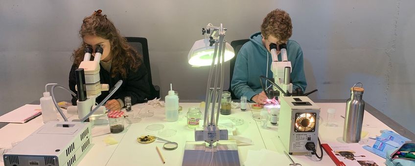 Isabel Kersten en Teun van der Sterren aan het werk in de LiveScience-zaal van Naturalis Biodiversity Center