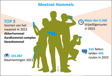 Meetnet Hommels