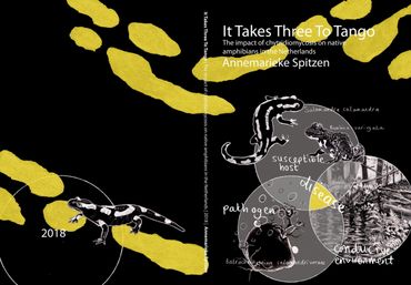 Omslag proefschrift Annemarieke Spitzen