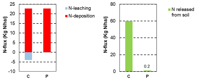 Deposition and leaching to the groundwater, and amounts of nitrogen released by the decomposition of organic matter in dry heathland in the Netherlands without (C) and with (P) soil stripping