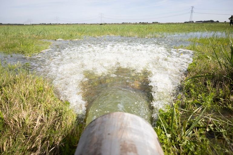 De Eendragtspolder in Zevenhuizen wordt onder water gezet voor onderzoek