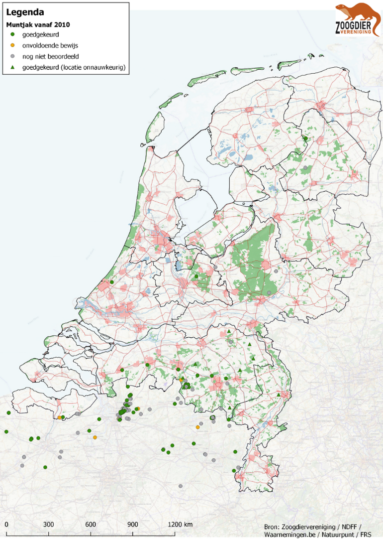 Verspreiding van muntjak in Nederland en Vlaanderen