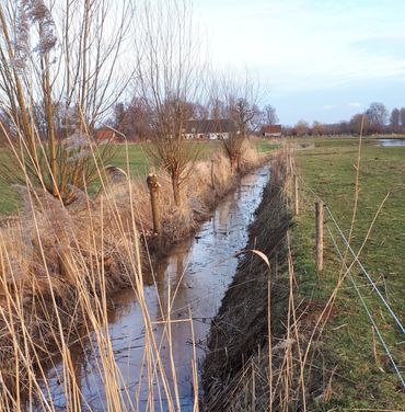 Op landgoed Zwanenburg