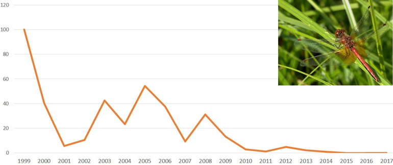 Trend van de geelvlekheidelibel vanaf 1999