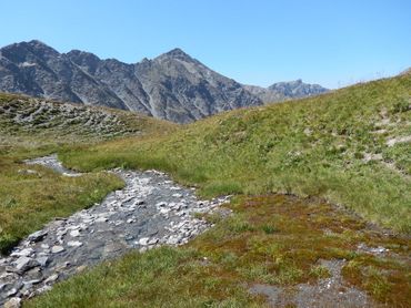 De helft van de aarde beschermen voor behoud biodiversiteit