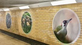 Grote natuurfoto’s begeleiden reizigers door de stationstunnel richting de bosuitgang