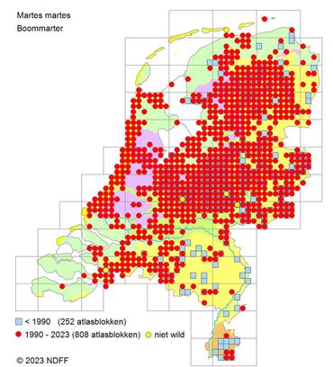 Verspreidingskaart boommarter