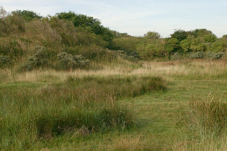 Duinvallei